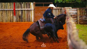 FUTURITY E CAMPEONATO NACIONAL ANCH 2026 – foto 4