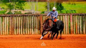 FUTURITY E CAMPEONATO NACIONAL ANCH 2026 – foto 3