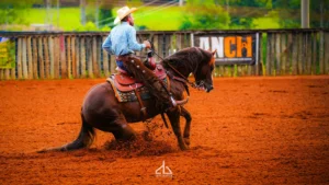 FUTURITY E CAMPEONATO NACIONAL ANCH 2026 – foto 5