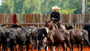 FUTURITY E CAMPEONATO NACIONAL ANCH 2026 – foto 1